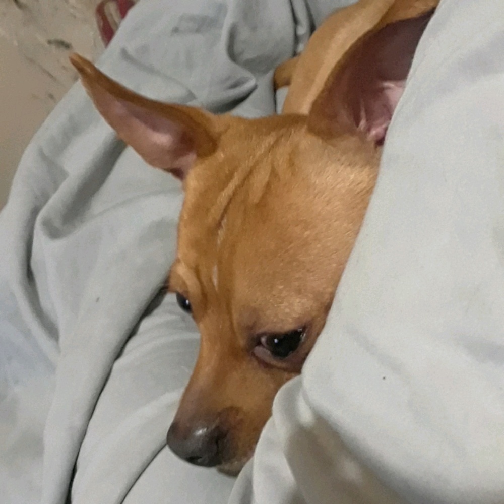 Meet your Posher, Sherri